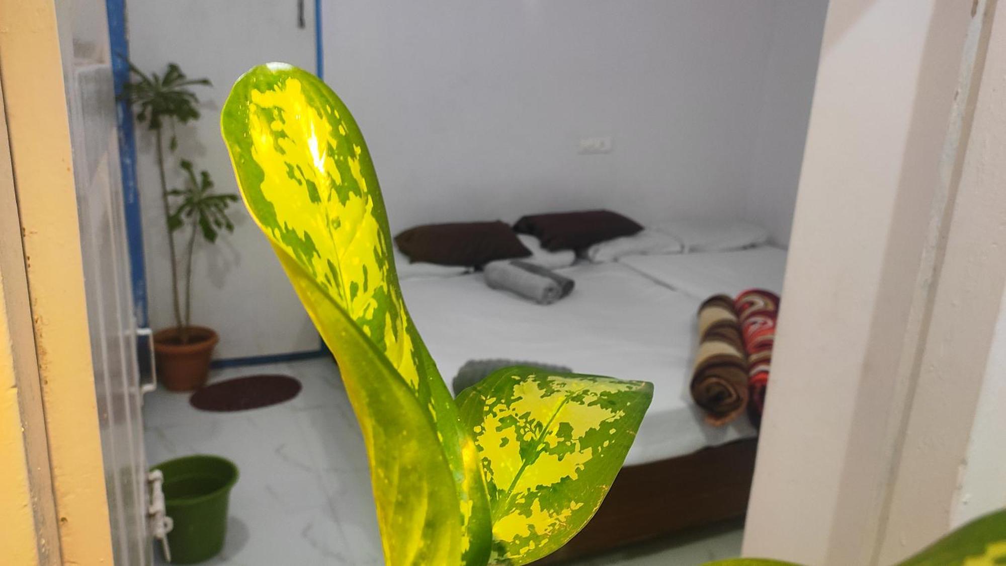 Adh Amilia Gardens Hotel Narasimharaja Puram Luaran gambar